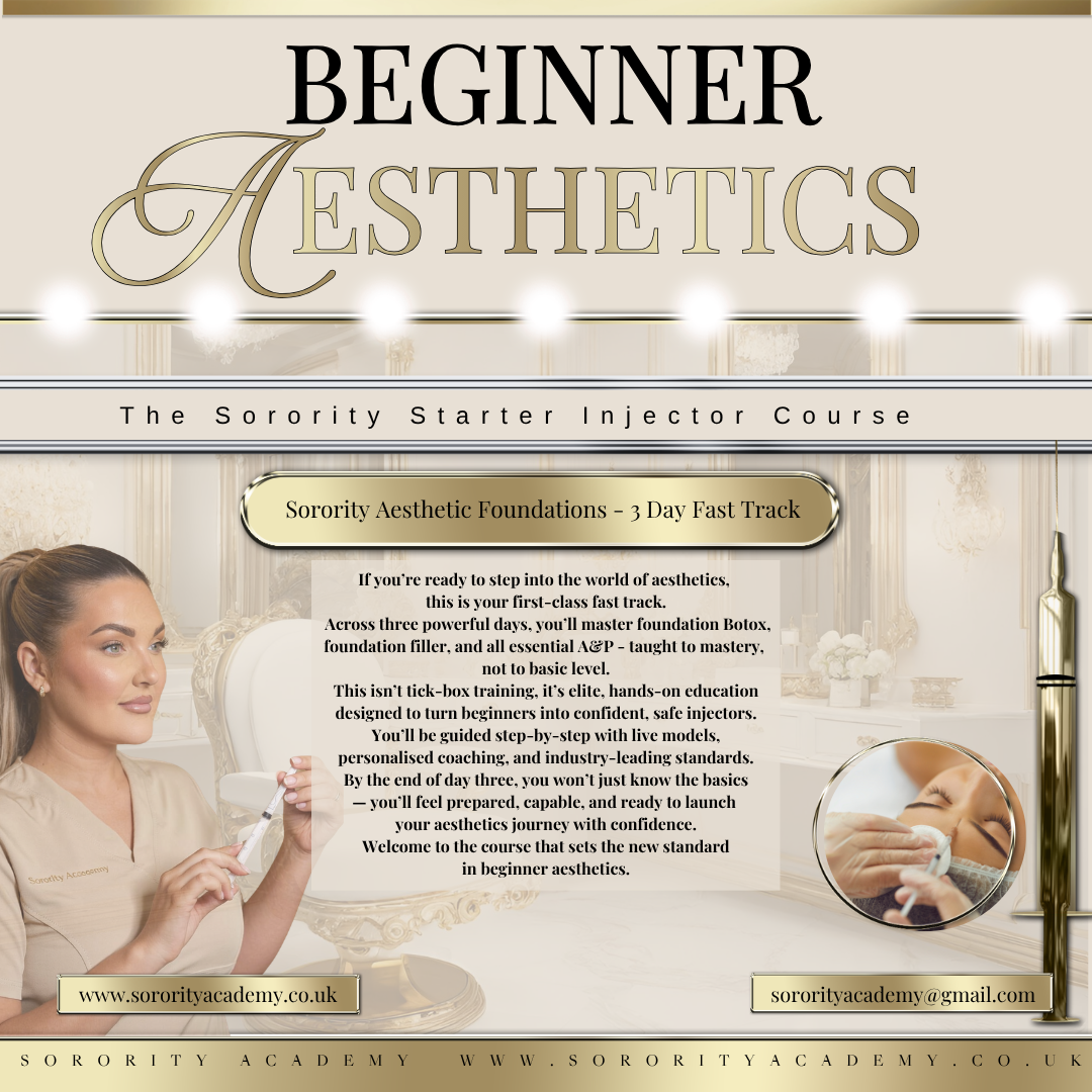 Beginner Aesthetics - 3 Days
